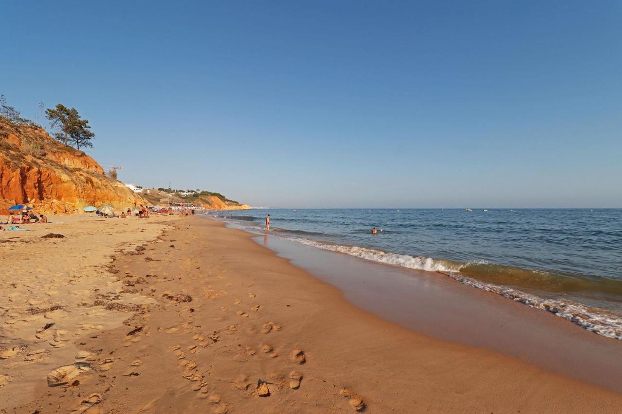 Albufeira Typical With Pool By Homing Διαμέρισμα Εξωτερικό φωτογραφία